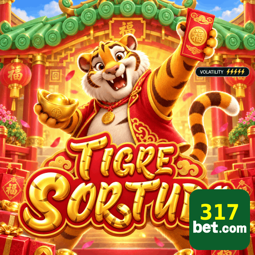 Ajustes de segurança e controle de sessão da conta 317BET